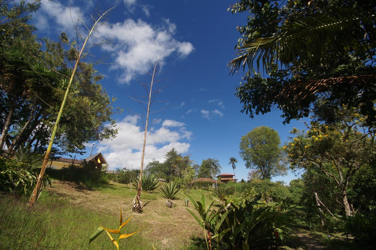 The Plantation House Travellers Hostel Salento Exterior foto